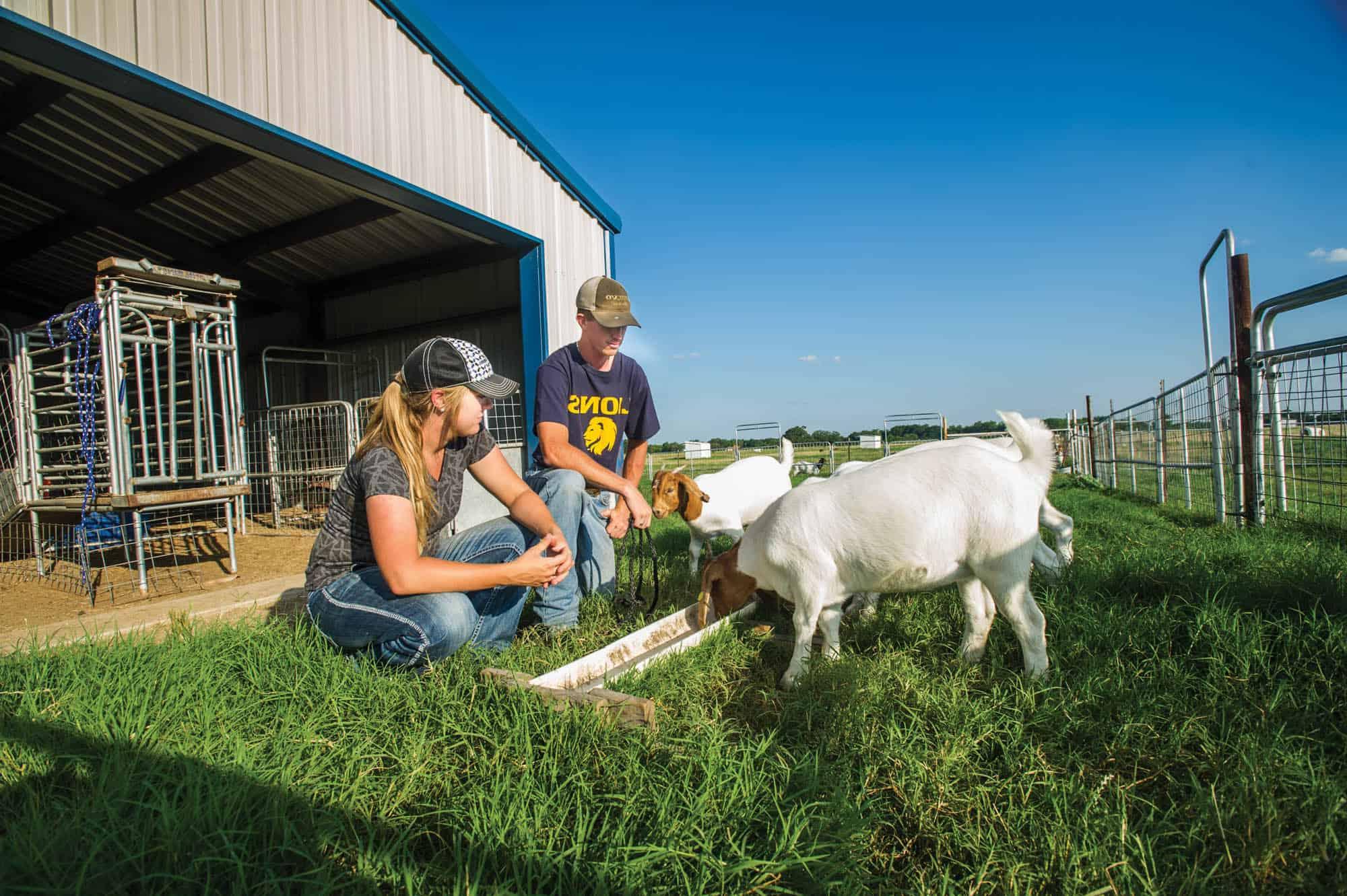 a couple of people that are petting some animals.