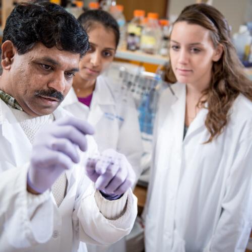 A professor and three students performing a test in the biology lab.