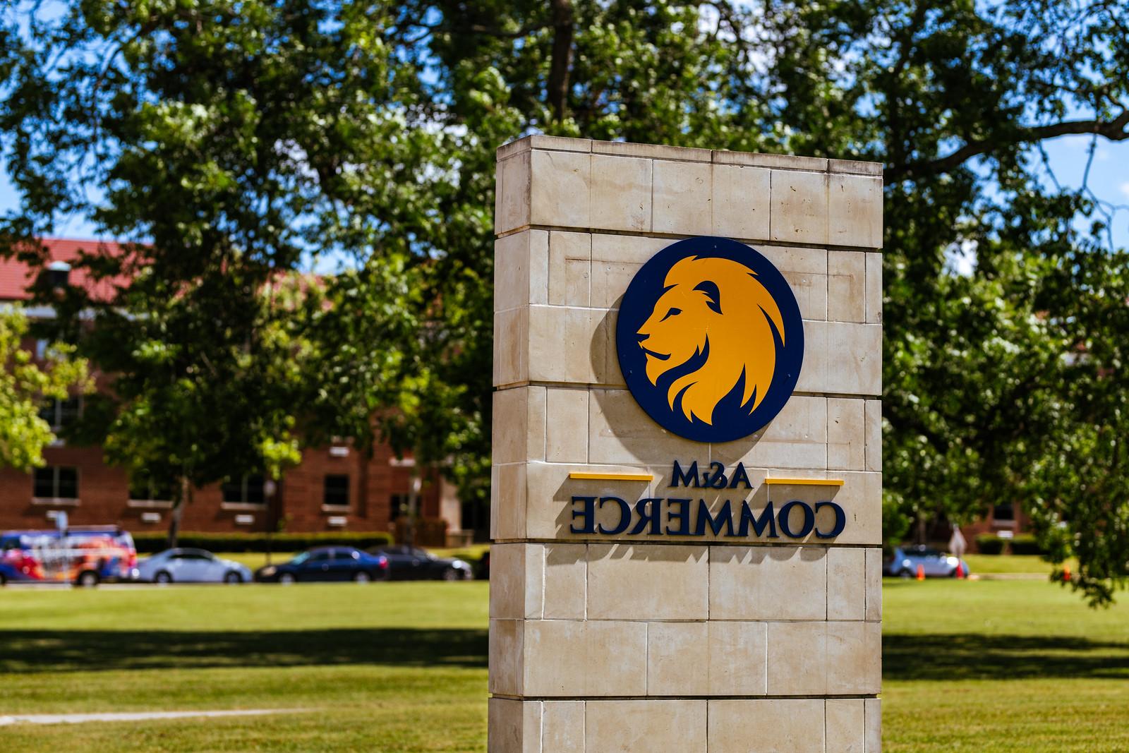 A concrete post with the Lion head logo is displayed in the foreground, and a university campus building and parked cars are displayed in the background.